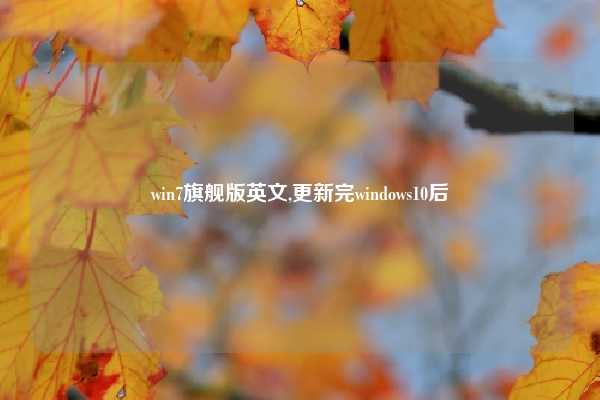 win7旗舰版英文,更新完windows10后