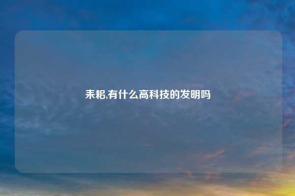 耒耜,有什么高科技的发明吗