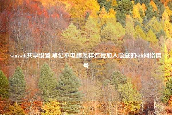 win7wifi共享设置,笔记本电脑怎样连接加入隐藏的wifi网络信号