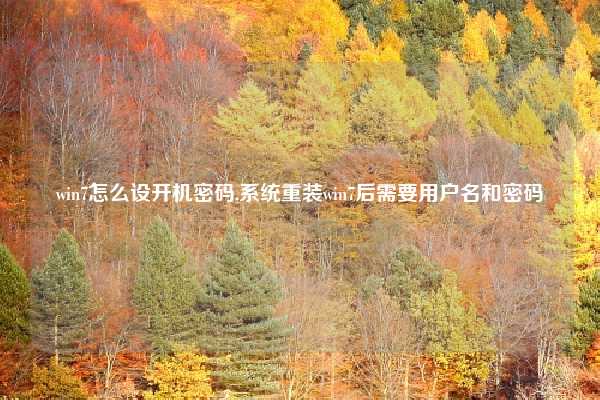 win7怎么设开机密码,系统重装win7后需要用户名和密码