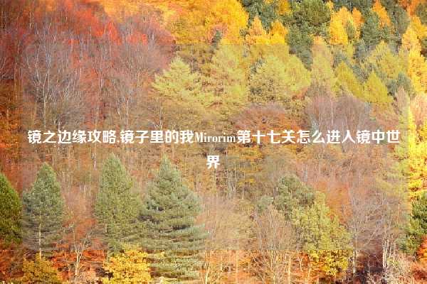 镜之边缘攻略,镜子里的我Mirorim第十七关怎么进入镜中世界