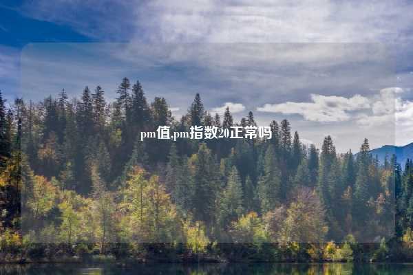 pm值,pm指数20正常吗