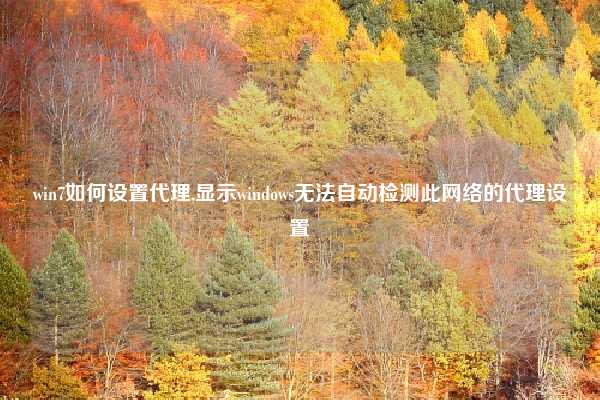 win7如何设置代理,显示windows无法自动检测此网络的代理设置