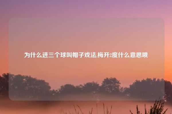 为什么进三个球叫帽子戏法,梅开2度什么意思哦