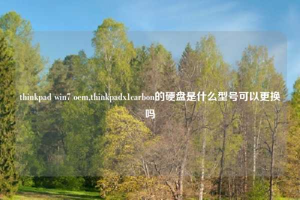 thinkpad win7 oem,thinkpadx1carbon的硬盘是什么型号可以更换吗