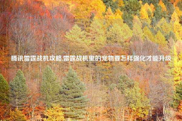 腾讯雷霆战机攻略,雷霆战机里的宠物要怎样强化才能升级
