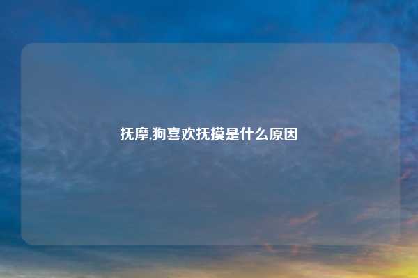 抚摩,狗喜欢抚摸是什么原因