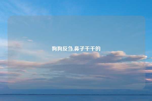 狗狗反刍,鼻子干干的