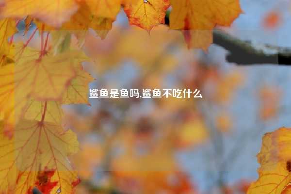 鲨鱼是鱼吗,鲨鱼不吃什么