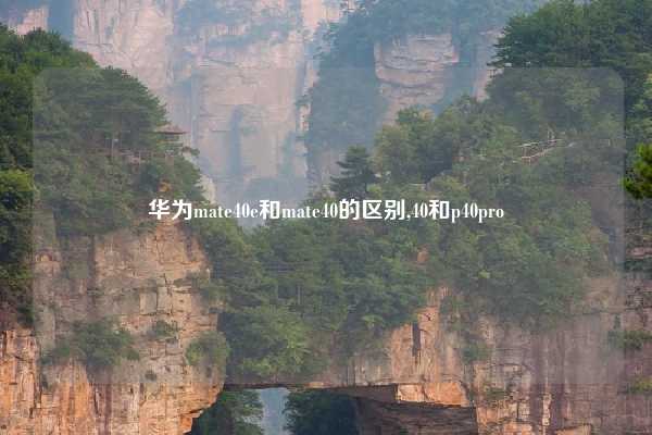 华为mate40e和mate40的区别,40和p40pro