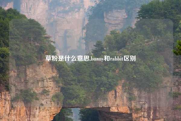草粉是什么意思,bunny和rabbit区别