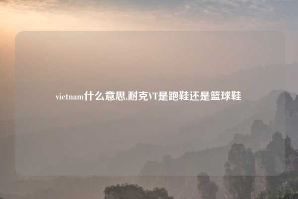 vietnam什么意思,耐克VT是跑鞋还是篮球鞋