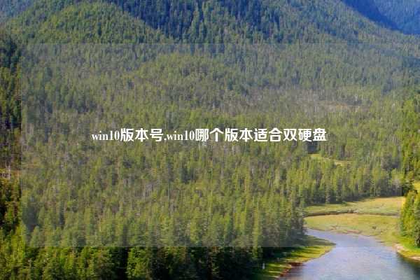 win10版本号,win10哪个版本适合双硬盘