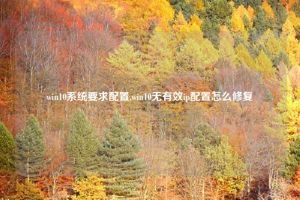 win10系统要求配置,win10无有效ip配置怎么修复