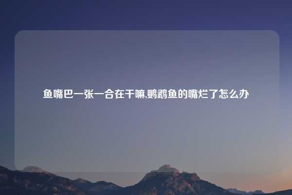鱼嘴巴一张一合在干嘛,鹦鹉鱼的嘴烂了怎么办