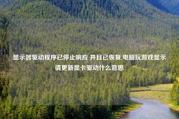 显示器驱动程序已停止响应 并且已恢复,电脑玩游戏显示请更新显卡驱动什么意思