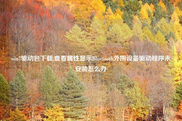 win7驱动包下载,查看属性显示Bluetooth外围设备驱动程序未安装怎么办
