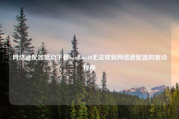 网络适配器驱动下载,windows10无法找到网络适配器的驱动程序