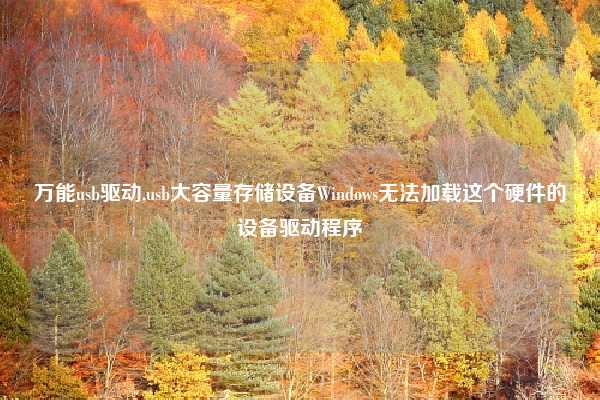 万能usb驱动,usb大容量存储设备Windows无法加载这个硬件的设备驱动程序