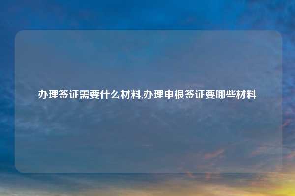 办理签证需要什么材料,办理申根签证要哪些材料