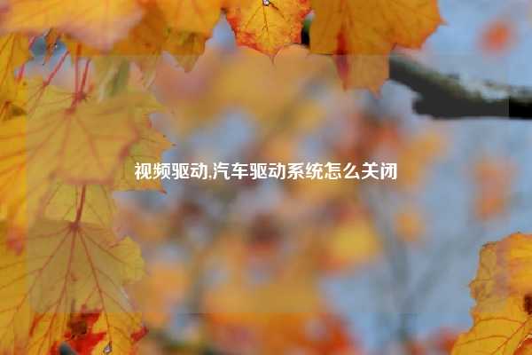 视频驱动,汽车驱动系统怎么关闭