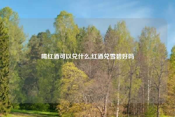 喝红酒可以兑什么,红酒兑雪碧好吗