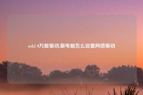 usb2 0万能驱动,新电脑怎么设置网络驱动