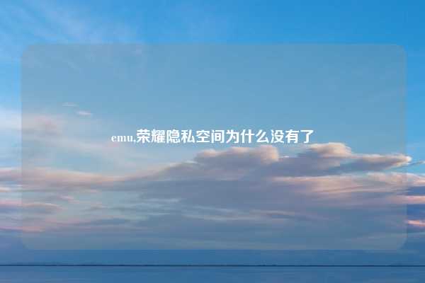 emu,荣耀隐私空间为什么没有了