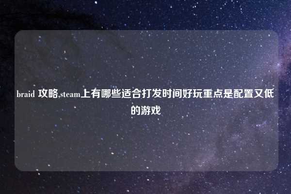braid 攻略,steam上有哪些适合打发时间好玩重点是配置又低的游戏