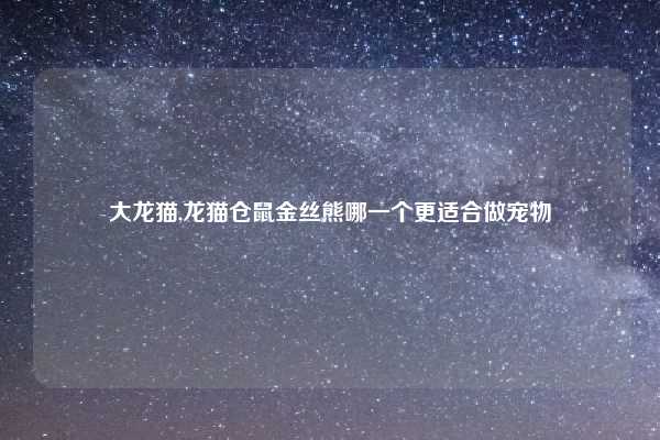 大龙猫,龙猫仓鼠金丝熊哪一个更适合做宠物