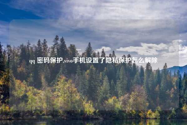 qq 密码保护,vivo手机设置了隐私保护怎么解除