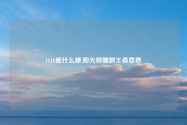 1118是什么梗,阳光明媚啊王桑意思