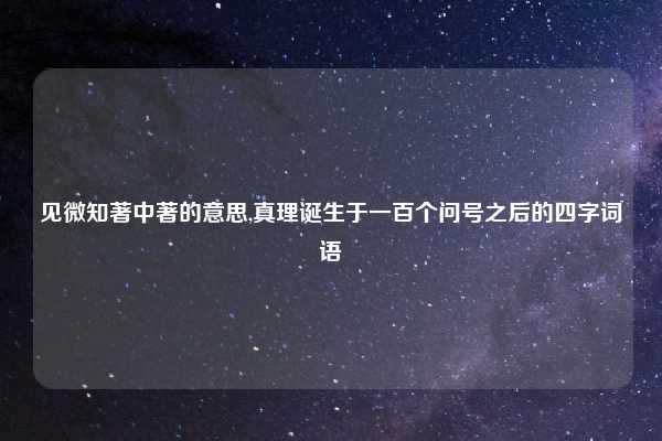 见微知著中著的意思,真理诞生于一百个问号之后的四字词语