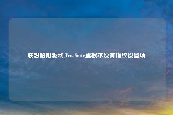 联想昭阳驱动,TrueSuite里根本没有指纹设置项
