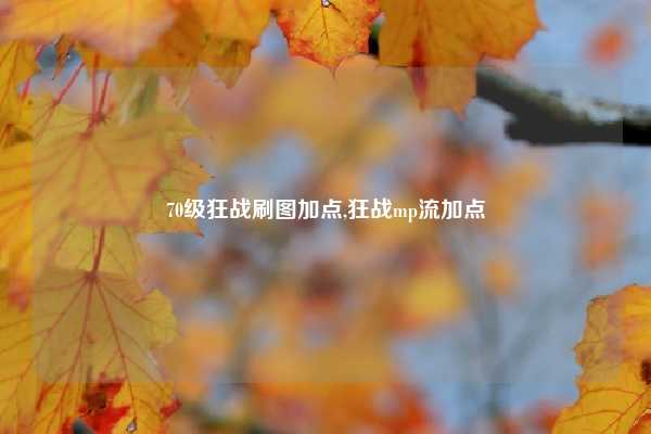70级狂战刷图加点,狂战mp流加点