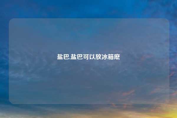 盐巴,盐巴可以放冰箱麽