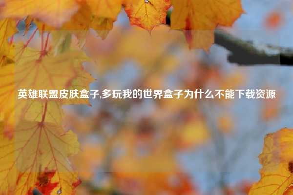 英雄联盟皮肤盒子,多玩我的世界盒子为什么不能下载资源