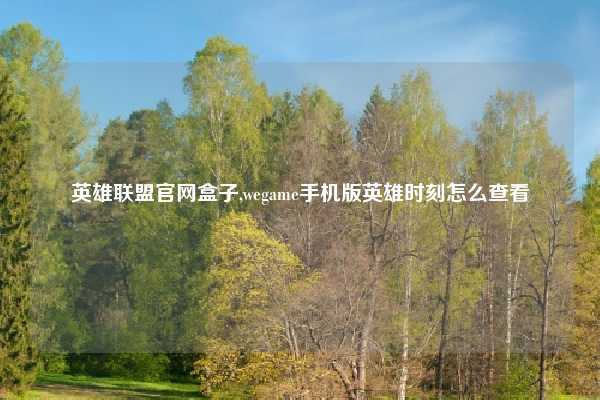 英雄联盟官网盒子,wegame手机版英雄时刻怎么查看