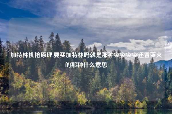加特林机枪原理,要买加特林吗就是那种突突突突还冒蓝火的那种什么意思