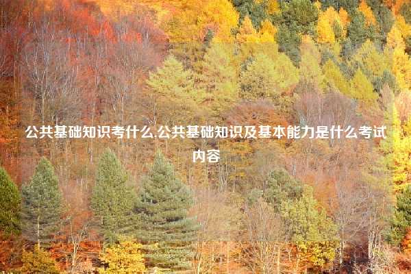 公共基础知识考什么,公共基础知识及基本能力是什么考试内容