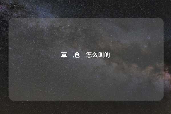 草鸮,仓鸮怎么叫的