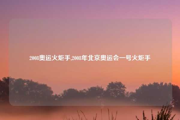 2008奥运火炬手,2008年北京奥运会一号火炬手