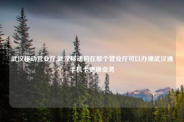 武汉移动营业厅,武汉移动的在那个营业厅可以办理武汉通手机卡更换业务