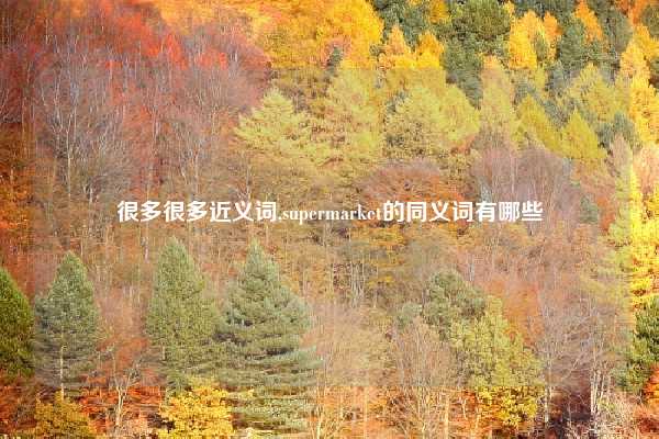 很多很多近义词,supermarket的同义词有哪些