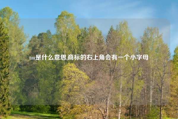 tm是什么意思,商标的右上角会有一个小字母