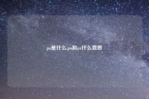 pa是什么,pu和pa什么意思