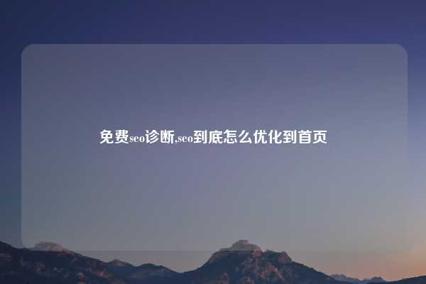 免费seo诊断,seo到底怎么优化到首页