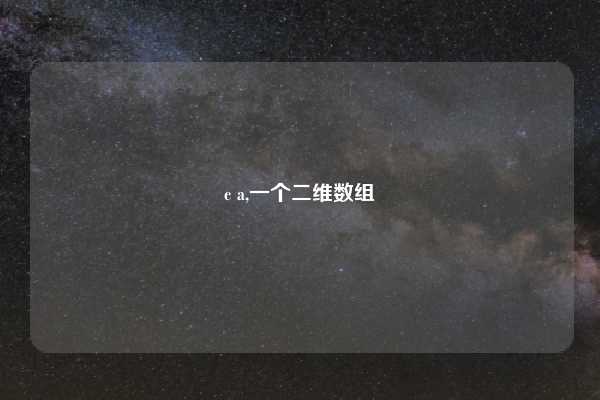c a,一个二维数组