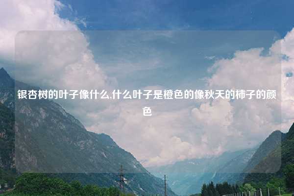 银杏树的叶子像什么,什么叶子是橙色的像秋天的柿子的颜色