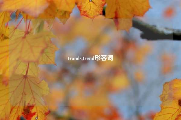 trands,trend形容词